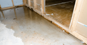 How To Tell If Your House Has Water Damage (A Quick Guide)